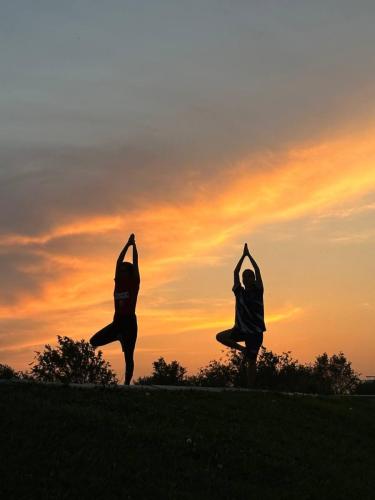 International Day of Yoga (IDY) session held on 13th May 2025 at Boqiy Bukhara